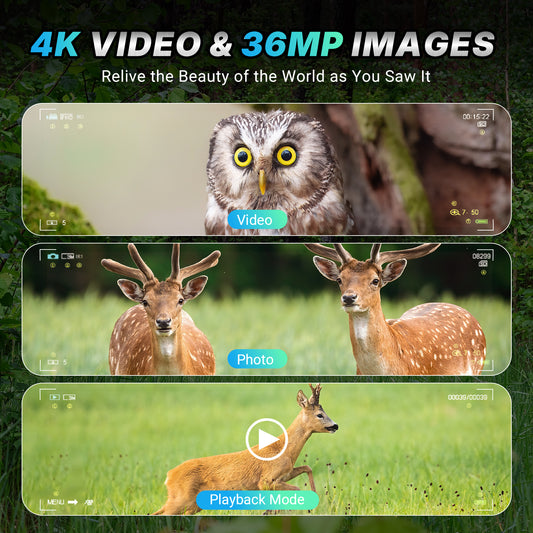 4K Night Vision Binoculars for Adults, 8X Digital Zoom, 1300FT Range
